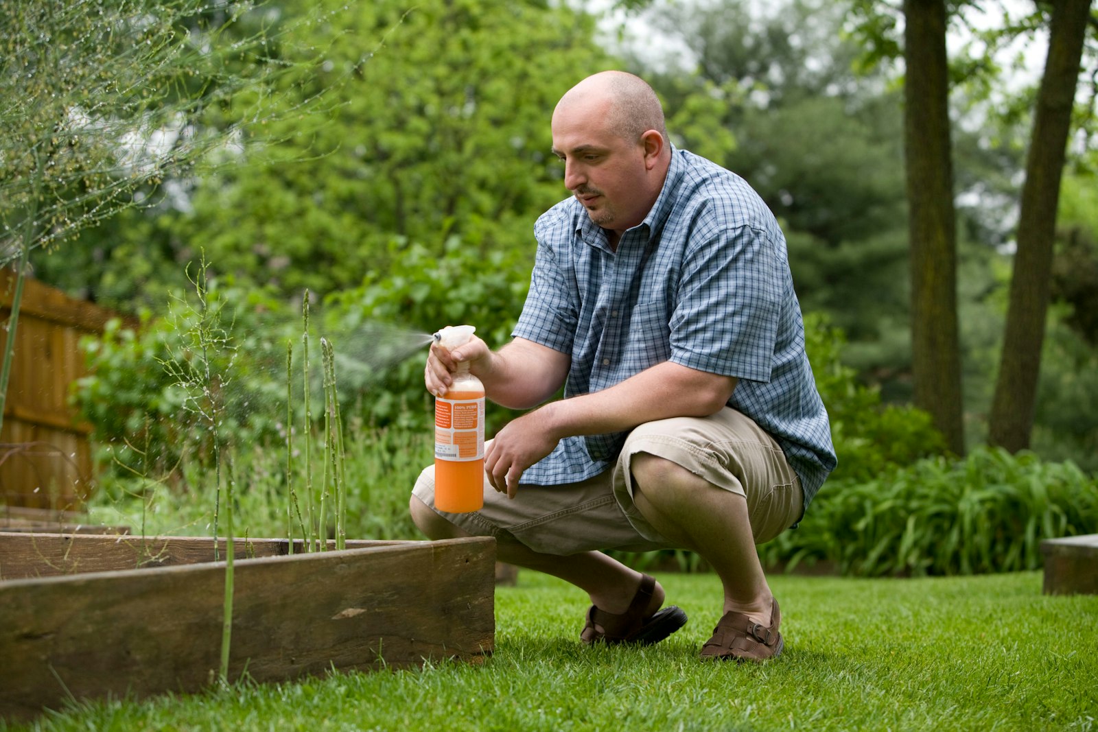 Traitement préventif d'un jardin